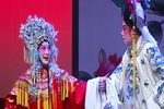 双阳公主 全集下载