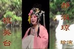 柳荫记 全集