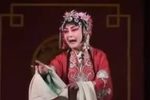二堂释放下载