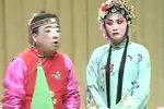 驼子回门下载