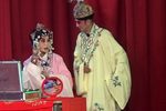 青儿大报仇 下集下载