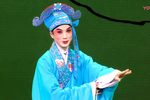 柳荫记下载