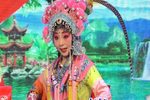 花仙剑下载