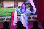 双玉蝉 全集下载