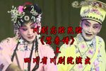 鸳鸯谱 上集下载