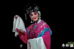 投庄遇美下载