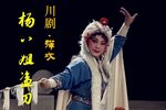 杨八姐盗刀 全集下载