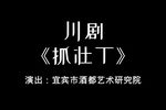 抓壮丁下载