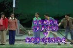 岁岁重阳 下集下载