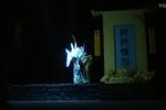 庆云宫下载