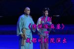 传说陈麻婆 下集下载