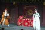 曹甫走雪下载