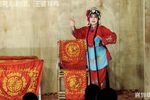 王婆骂鸡下载