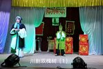 双槐树第一部下载