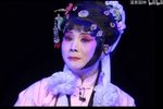 梅女 全集下载