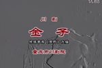 金子 全集下载