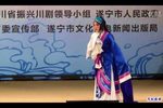 马白克夫人下载