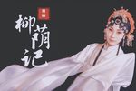 柳荫记下载