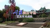 醉隶