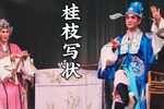 桂枝写状下载