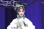 乔子口下载