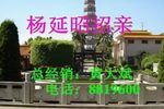 杨延昭招亲