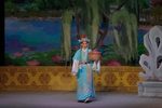 狸猫换太子抱妆盒下载