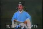 红丝错