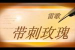 带刺玫瑰 全集下载