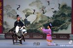 刘锡训子 选段