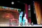 金叶菊 选段第九场
