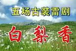 白梨香 全集