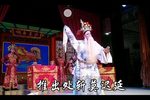 金叶菊 选段第五场