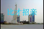 比才招亲 全集