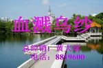 血溅乌纱