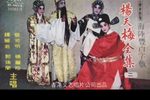 杨天梅赏花 选段