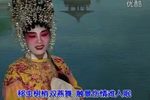双飞燕