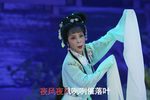 哑女告状困楼 选段