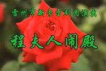 程夫人闹殿 全集