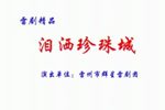 泪洒珍珠城下载