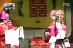 闹严府