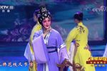 蝴蝶梦 选段