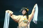 玉鸳鸯被逐 选段