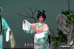狸猫换太子 选段