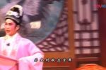 桂枝告状 下集