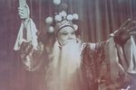 金叶菊 选段