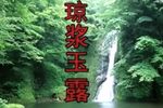 琼浆玉露下载