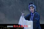 薛仁贵回窑我夫本是书生样 选段下载