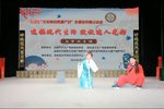 无意神医琴心剑胆行侠义 选段