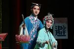 花灯案 全集下载